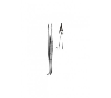 Forceps